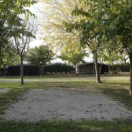 Camping Da Giovanni Peschiera del Garda Eksteriør billede